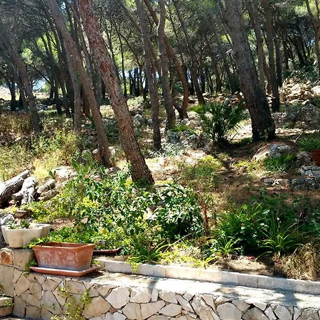 Chata Casa Nel Bosco Sul Mare