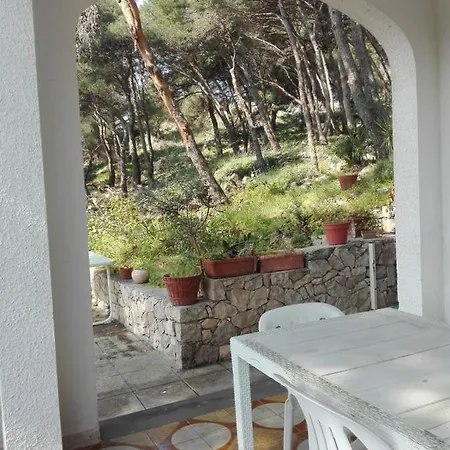 Casa Nel Bosco Sul Mare Chata