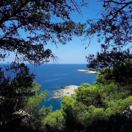 Casa Nel Bosco Sul Mare