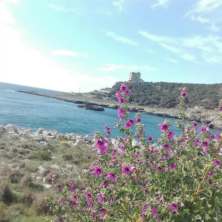 Hytte Casa Nel Bosco Sul Mare Nardò