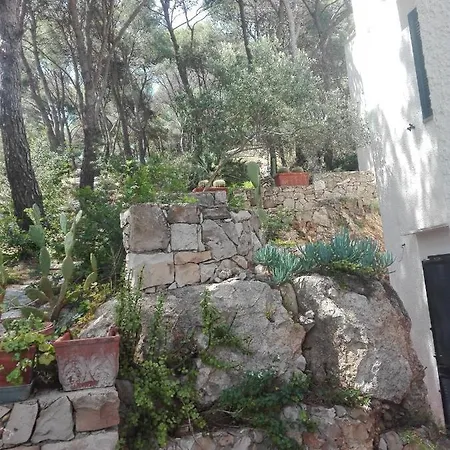 ロッジ Casa Nel Bosco Sul Mare *